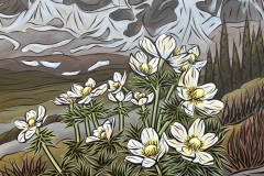 A High Alpine Summer